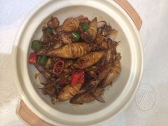 -蓬川食府(金海道店)