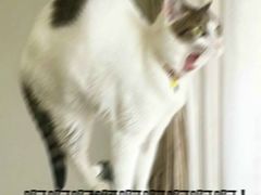 -品腐记·豆腐王朝(老门东总店)