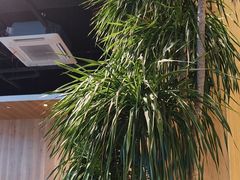 -1861意大利餐厅(文化广场店)