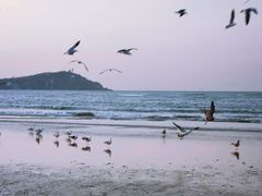 -蓬莱仙岛