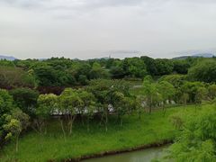 -苏州太湖国家湿地公园