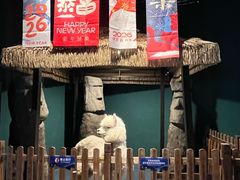 -重庆欢乐海底世界