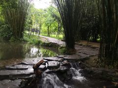 -大屏嶂森林公园