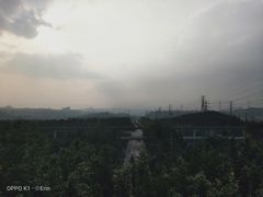 -南岸新华书店