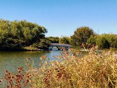 -大兴滨河森林公园