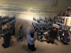 -成都泰迪熊博物馆