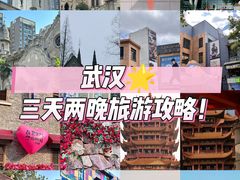 -燕子煨汤(山海关路店)