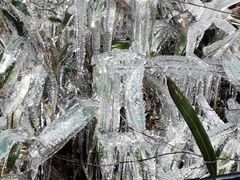 -东天目山风景区