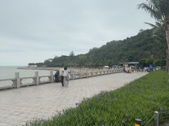 -野狸岛