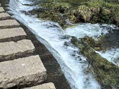 -贵阳市花溪国家城市湿地公园