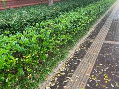 -悦SHOW 量贩式KTV(宝龙广场店)