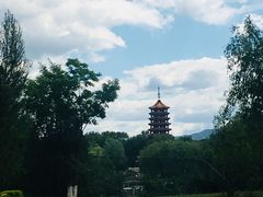 -延庆地质公园博物馆