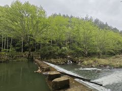 -岳西天峡风景区