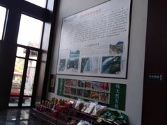 -英德宝晶宫天鹅湖茶语温泉