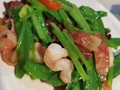 -云中小雅