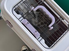 -宠颐生动物医院·小陆分院