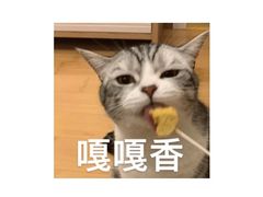 -鲜芋仙(国和店)