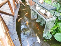 景点-上海大自然野生昆虫馆