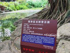 -晓港公园