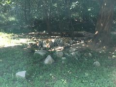 -西安秦岭野生动物园