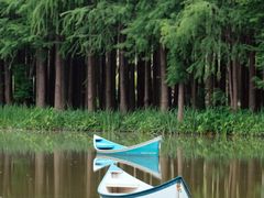 -佛冈森波拉度假区