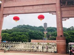 -福神岗公园