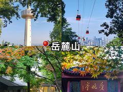 -徐记海鲜(高铁南站|沙湾公园店)