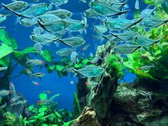 -太平洋海底世界