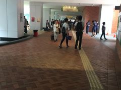 -香港大学