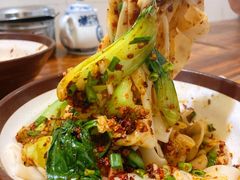 牛肉油泼扯面-马振面(小皮院店)