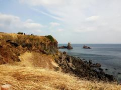 -涉地可支