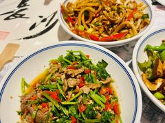 香菜炒牛肉-壹盏灯(蚂蚁工房店)