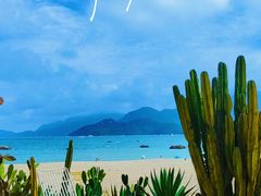 -花海间·即刻露营