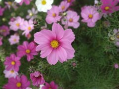 -天津东丽湖风景区