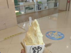 -野人先生现做冰淇淋(北京悠唐购物中心店)