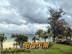 -杨梅坑