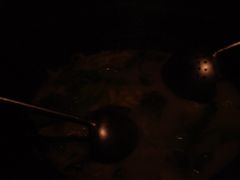 -陈大锅·岳阳鱼馆·地道岳阳菜(美食街店)