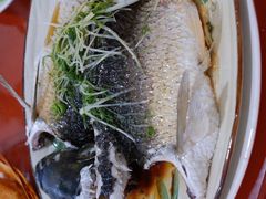 -寻味肇庆·八姑农庄·广府西江菜