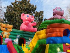 -上海共青森林公园