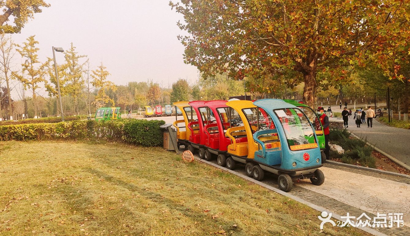 免费公园 近距离接触小动物