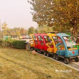 免费公园 近距离接触小动物