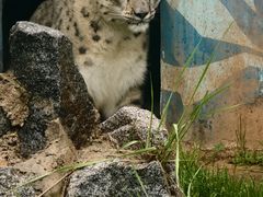 -青藏高原野生动物园