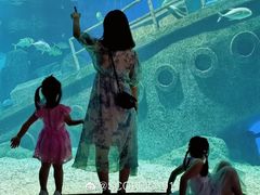 -福州罗源湾海洋世界旅游区