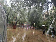 -济南方特东方神画