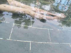 -山湖温泉