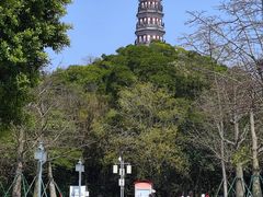 -顺峰山公园
