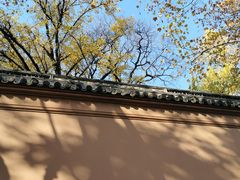 -苏州文庙(姑苏区)