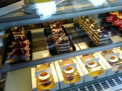 -龙兴·动物奶油生日蛋糕(龙北店)