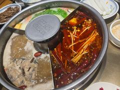 -巴奴毛肚火锅(九洲店)
