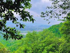 -大奇山国家森林公园